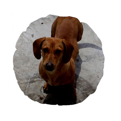 Weiner Dog Standard 15  Premium Round Cushion  from ArtsNow.com Back