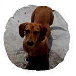 Weiner Dog Large 18  Premium Round Cushion 