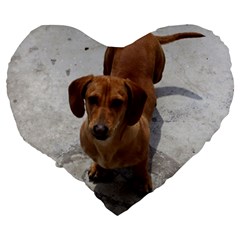 Weiner Dog Large 19  Premium Heart Shape Cushion from ArtsNow.com Back