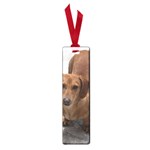 Weiner Dog Small Book Mark