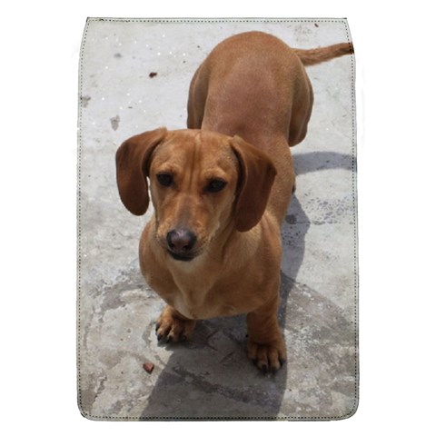Weiner Dog Removable Flap Cover (L) from ArtsNow.com Front