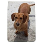 Weiner Dog Removable Flap Cover (L)