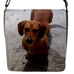 Weiner Dog Flap Closure Messenger Bag (S)