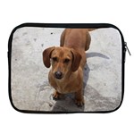 Weiner Dog Apple iPad Zipper Case