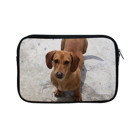 Weiner Dog Apple iPad Mini Zipper Case from ArtsNow.com Front