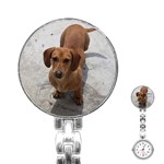 Weiner Dog Stainless Steel Nurses Watch