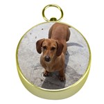 Weiner Dog Gold Compass