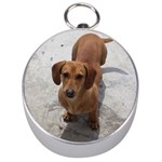 Weiner Dog Silver Compass