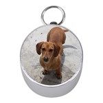 Weiner Dog Silver Compass (Mini)
