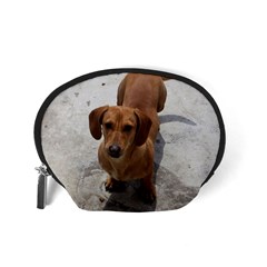 Weiner Dog Accessory Pouch (Small) from ArtsNow.com Back