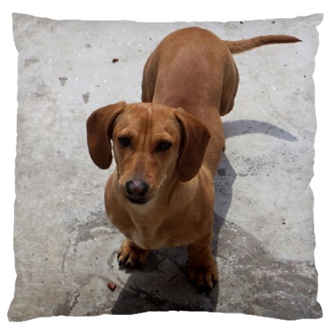 Weiner Dog Standard Flano Cushion Case (Two Sides) from ArtsNow.com Front