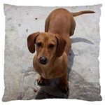 Weiner Dog Standard Flano Cushion Case (Two Sides)