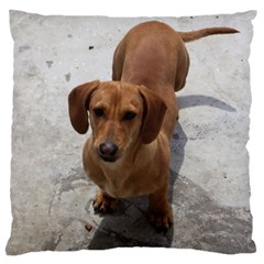Weiner Dog Standard Flano Cushion Case (Two Sides) from ArtsNow.com Back