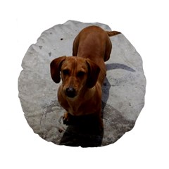 Weiner Dog Standard 15  Premium Flano Round Cushion  from ArtsNow.com Front