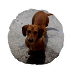 Weiner Dog Standard 15  Premium Flano Round Cushion 