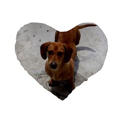 Weiner Dog Standard 16  Premium Flano Heart Shape Cushion  from ArtsNow.com Front