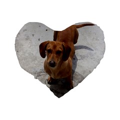 Weiner Dog Standard 16  Premium Flano Heart Shape Cushion  from ArtsNow.com Back