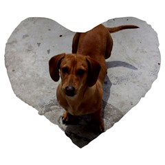 Weiner Dog Large 19  Premium Flano Heart Shape Cushion from ArtsNow.com Back