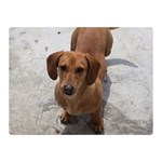 Weiner Dog Double Sided Flano Blanket (Mini)