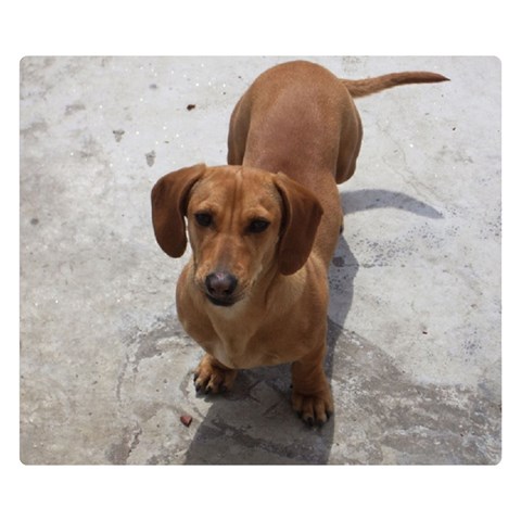 Weiner Dog Double Sided Flano Blanket (Small) from ArtsNow.com 50 x40  Blanket Back