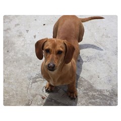 Weiner Dog Double Sided Flano Blanket (Medium) from ArtsNow.com 60 x50  Blanket Back