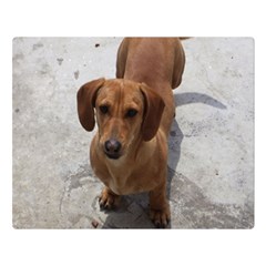 Weiner Dog Double Sided Flano Blanket (Large) from ArtsNow.com Blanket Back