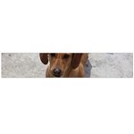 Weiner Dog Flano Scarf (Large)