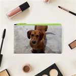 Weiner Dog Cosmetic Bag (XS)