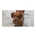 Weiner Dog Satin Wrap