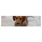 Weiner Dog Satin Scarf (Oblong)