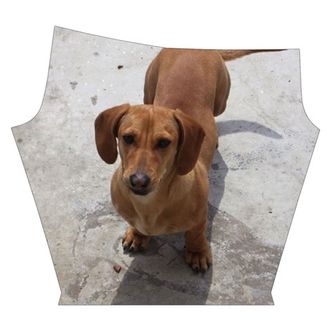 Weiner Dog Yoga Cropped Leggings from ArtsNow.com Right