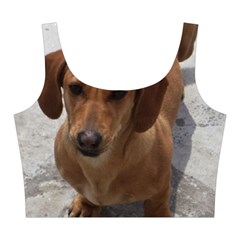 Weiner Dog Midi Sleeveless Dress from ArtsNow.com Top Back