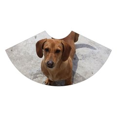 Weiner Dog Midi Sleeveless Dress from ArtsNow.com Skirt Front