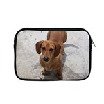 Weiner Dog Apple MacBook Pro 15  Zipper Case