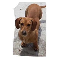 Weiner Dog Women s Button Up Puffer Vest from ArtsNow.com Front Right