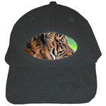 Tiger Black Cap
