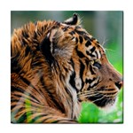 Tiger Tile Coaster