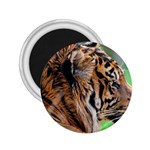 Tiger 2.25  Magnet