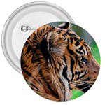 Tiger 3  Button