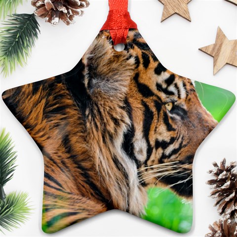 Tiger Ornament (Star) from ArtsNow.com Front