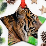 Tiger Ornament (Star)