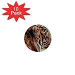 Tiger 1  Mini Button (10 pack) 