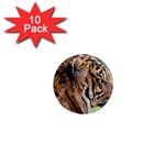 Tiger 1  Mini Magnet (10 pack) 