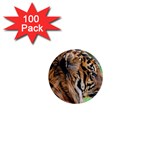 Tiger 1  Mini Button (100 pack) 