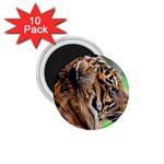 Tiger 1.75  Magnet (10 pack) 