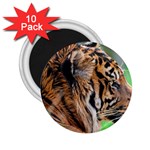 Tiger 2.25  Magnet (10 pack)