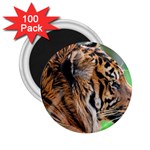 Tiger 2.25  Magnet (100 pack) 