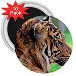 Tiger 3  Magnet (10 pack)