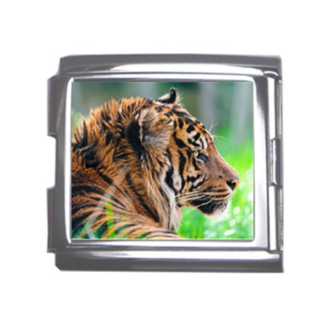 Tiger Mega Link Italian Charm (18mm) from ArtsNow.com Front