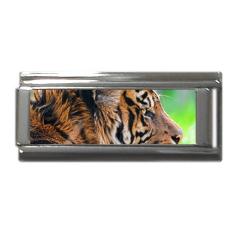Tiger Superlink Italian Charm (9mm) from ArtsNow.com Front